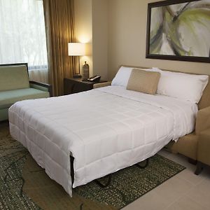Suite con 1 camera da letto con letto king size